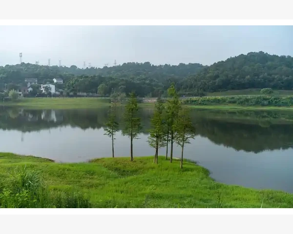 夏至养生：传统中医智慧的健康秘诀