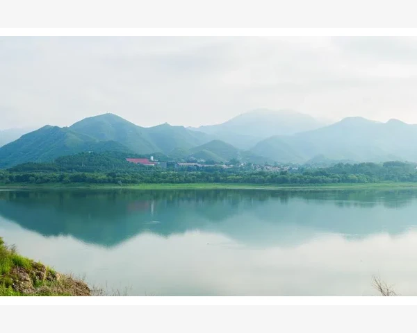 B2B叫停背后的企业生存法则